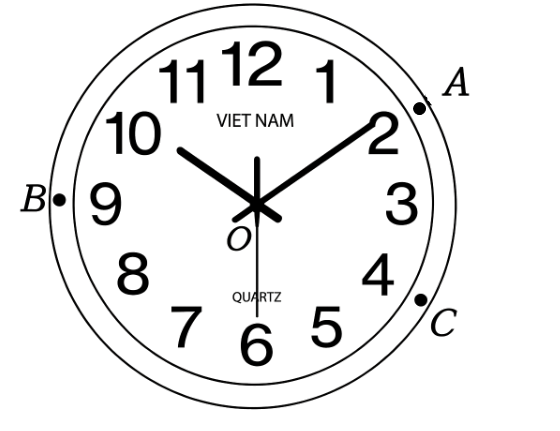 Hình minh họa câu hỏi